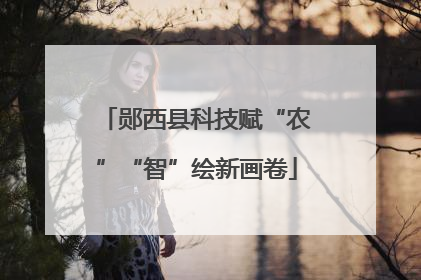 郧西县科技赋“农”“智”绘新画卷