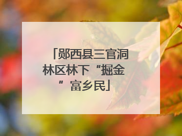 郧西县三官洞林区林下“掘金”富乡民