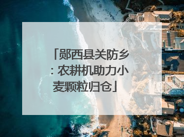 郧西县关防乡：农耕机助力小麦颗粒归仓