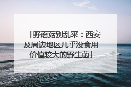 野蘑菇别乱采：西安及周边地区几乎没食用价值较大的野生菌