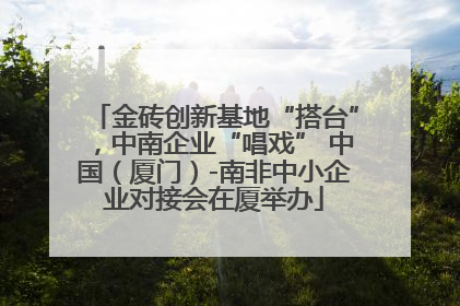 金砖创新基地“搭台”，中南企业“唱戏” 中国（厦门）-南非中小企业对接会在厦举办