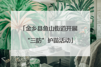 金乡县鱼山街道开展“三防”护苗活动