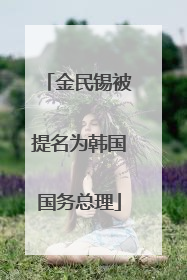 金民锡被提名为韩国国务总理