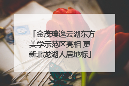 金茂璞逸云湖东方美学示范区亮相 更新北龙湖人居地标