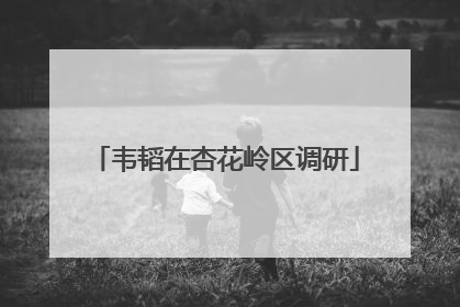 韦韬在杏花岭区调研