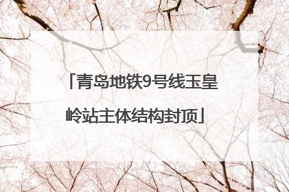 青岛地铁9号线玉皇岭站主体结构封顶