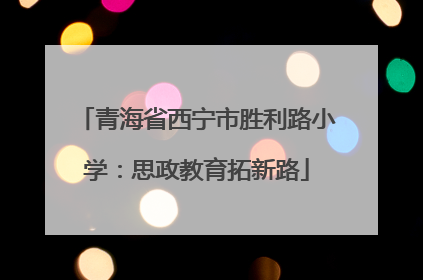 青海省西宁市胜利路小学：思政教育拓新路
