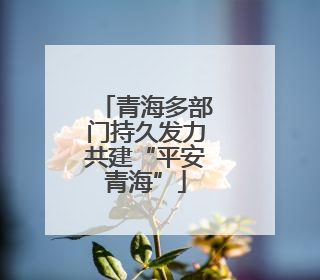 青海多部门持久发力共建“平安青海”