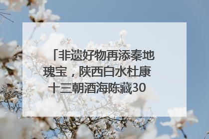 非遗好物再添秦地瑰宝，陕西白水杜康十三朝酒海陈藏30年别具一格