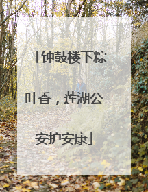 钟鼓楼下粽叶香，莲湖公安护安康