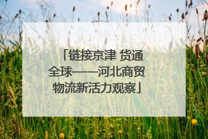 链接京津 货通全球——河北商贸物流新活力观察