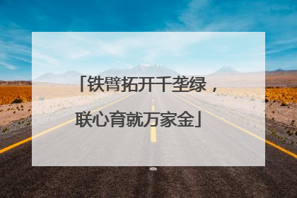 铁臂拓开千垄绿，联心育就万家金