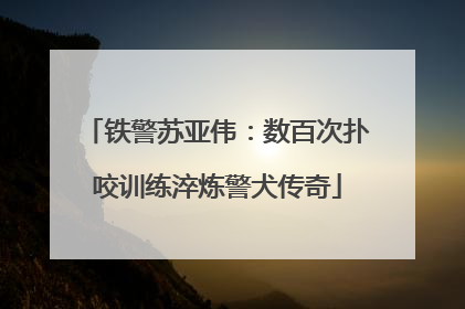 铁警苏亚伟：数百次扑咬训练淬炼警犬传奇