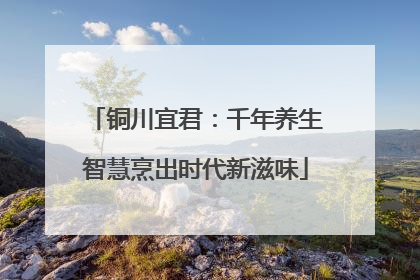 铜川宜君：千年养生智慧烹出时代新滋味