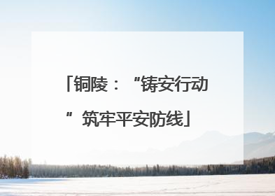 铜陵：“铸安行动”筑牢平安防线