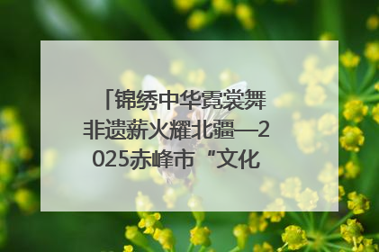 锦绣中华霓裳舞 非遗薪火耀北疆—2025赤峰市“文化和自然遗产日”非遗宣传展示活动纪实