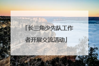 长三角少先队工作者开展交流活动