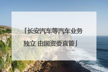 长安汽车等汽车业务独立 由国资委直管