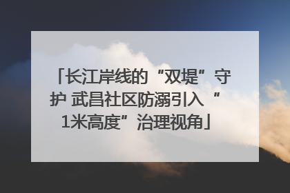 长江岸线的“双堤”守护 武昌社区防溺引入“1米高度”治理视角