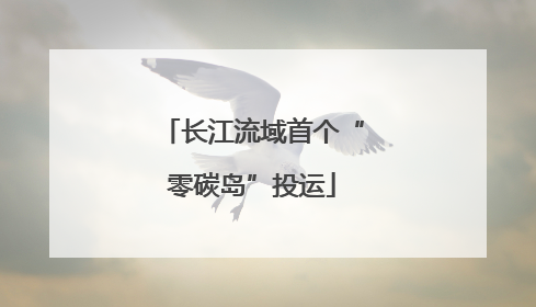 长江流域首个“零碳岛”投运