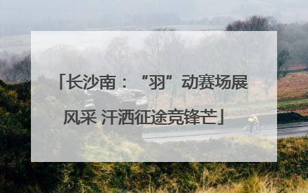 长沙南：“羽”动赛场展风采 汗洒征途竞锋芒