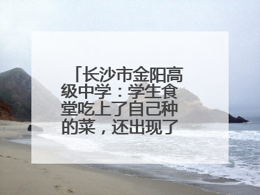 长沙市金阳高级中学：学生食堂吃上了自己种的菜，还出现了一批劳动能手