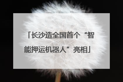 长沙造全国首个“智能押运机器人”亮相