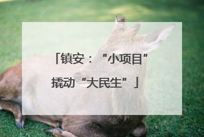 镇安：“小项目”撬动“大民生”