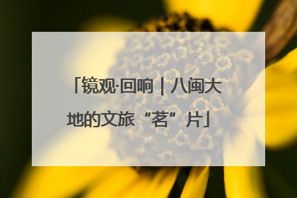镜观·回响｜八闽大地的文旅“茗”片