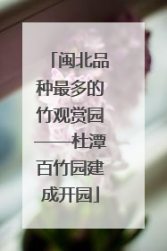 闽北品种最多的竹观赏园——杜潭百竹园建成开园