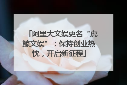 阿里大文娱更名“虎鲸文娱”：保持创业热忱，开启新征程