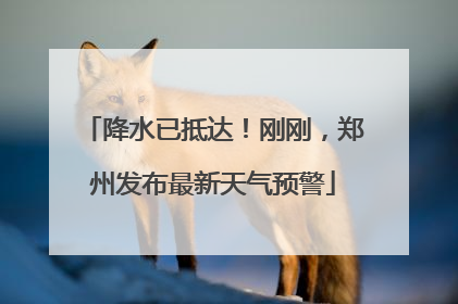 降水已抵达！刚刚，郑州发布最新天气预警
