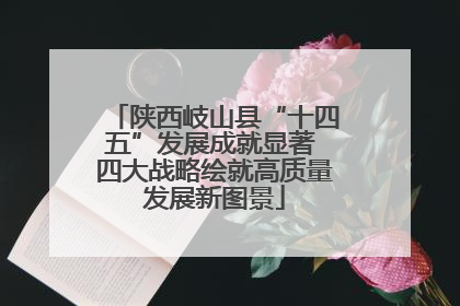 陕西岐山县“十四五”发展成就显著 四大战略绘就高质量发展新图景