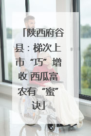 陕西府谷县：梯次上市“巧”增收 西瓜富农有“蜜”诀