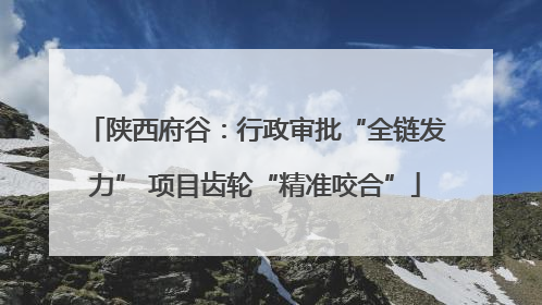 陕西府谷：行政审批“全链发力” 项目齿轮“精准咬合”