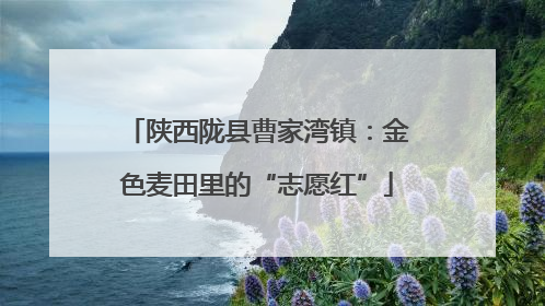 陕西陇县曹家湾镇：金色麦田里的“志愿红”
