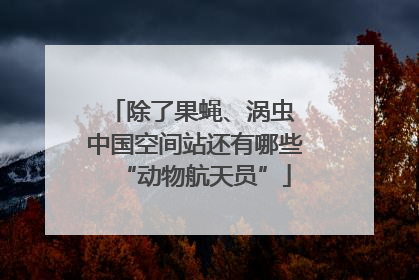 除了果蝇、涡虫 中国空间站还有哪些“动物航天员”