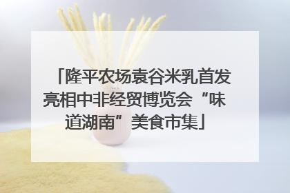 隆平农场袁谷米乳首发亮相中非经贸博览会“味道湖南”美食市集