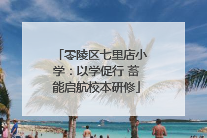 零陵区七里店小学：以学促行 蓄能启航校本研修