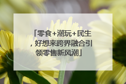 零食+潮玩+民生，好想来跨界融合引领零售新风潮