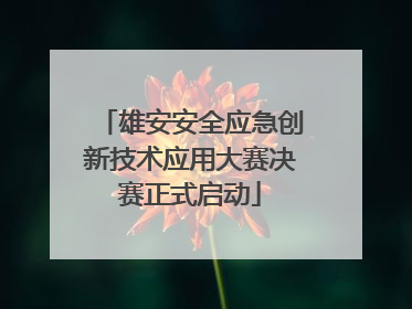 雄安安全应急创新技术应用大赛决赛正式启动