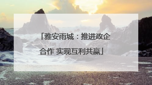 雅安雨城：推进政企合作 实现互利共赢