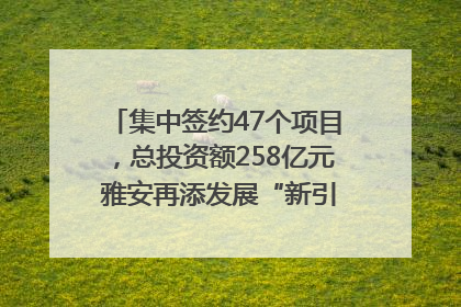 集中签约47个项目，总投资额258亿元 雅安再添发展“新引擎”｜数读西投