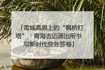 雪域高原上的“枫桥灯塔”：青海吉迈派出所书写新时代警务答卷