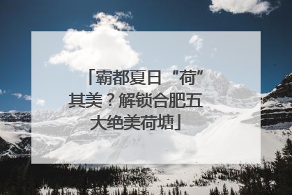 霸都夏日“荷”其美？解锁合肥五大绝美荷塘