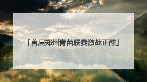 首届郑州青苗联赛激战正酣