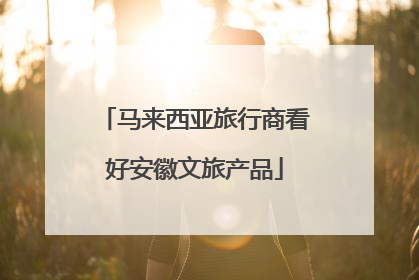 马来西亚旅行商看好安徽文旅产品