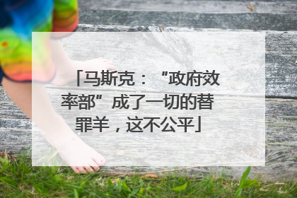 马斯克：“政府效率部”成了一切的替罪羊，这不公平