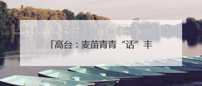 高台：麦苗青青“话”丰收 粮田孕育新“丰”景