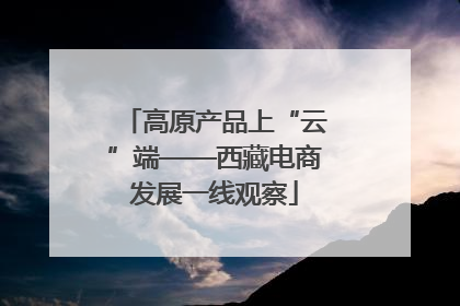 高原产品上“云”端——西藏电商发展一线观察